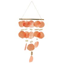 kategori Skjelldekorasjon