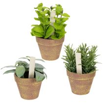 kategori Kunstige planter