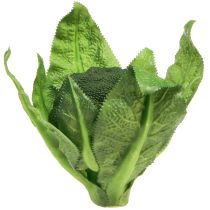 kategori Vegetabilsk dekorasjon