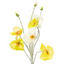 kategori Hageblomst & engblomst