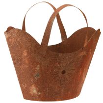 kategori Hagepynt rust