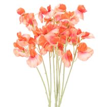 kategori Hageblomst & engblomst