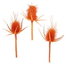 kategori Grener, pinner og kvister