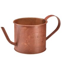 kategori Hagepynt rust