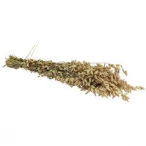 gjenstander Skjelvende gress tørkede blomster grønne naturlige Briza 60cm 100g