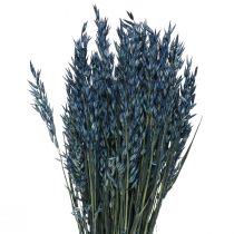 gjenstander Tørkede blomster, havre tørket korn dekorasjon blå 68cm 230g