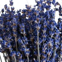 gjenstander Tørket lavendel haug med tørkede blomster Blå 25cm 75g