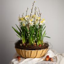 gjenstander Rund plantekasse, blomsterdekor, plastskål, oppleggskar grønn, hvit flekkete H8,5cm Ø30cm
