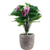gjenstander Kunstige blomster kunstige anthurium kunstige planter i potte 41cm