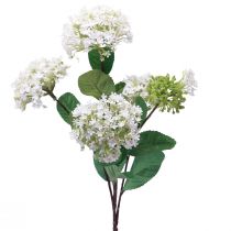 gjenstander Kunstig blomster snøballplante Virburnum hvit Ø8cm 64cm