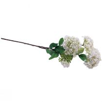 gjenstander Kunstig blomster snøballplante Virburnum hvit Ø8cm 64cm