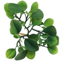gjenstander Kunstig grønn plante sukkulent kunstgrønn H14cm