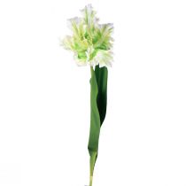 gjenstander Kunstig blomster papegøye tulipan kunsttulipan grønn hvit 69cm