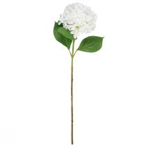 gjenstander Dekorativ hortensia kunstig hvit snøballhortensia 65cm