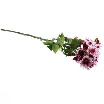 gjenstander Kunstige Blomster Kunstige Asters Silkeblomster Lilla 80cm
