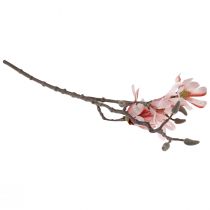 gjenstander Magnolia grein magnolia kunstlaks 58cm