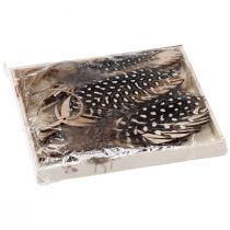 gjenstander Dekorativt fjæranheng naturlig trefjær 9,5/10cm 9 stk.