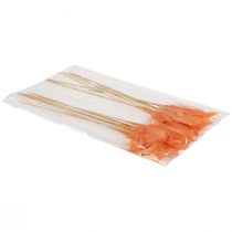 gjenstander Dekorfjær oransje fuglefjær på pinne 36cm 12 stk