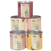 gjenstander Dekorativ blikk, shabby chic-stil, metall, Ø11 cm H10,5 cm, forskjellige farger