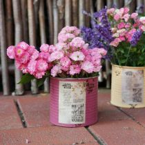 gjenstander Dekorativ blikk, shabby chic-stil, metall, Ø11 cm H10,5 cm, forskjellige farger