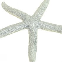Sjøstjerne sølv maritim dekorasjon sjøstjerne sommerdekor 7,5 cm 10 stk