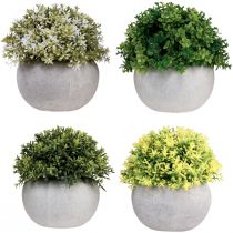 gjenstander Kunstige planter Kunstig buksbom 12,5cm×Ø12cm 4stk