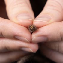 gjenstander Veketråd, ullsnor, brun, 55 m dekorativ snor for blomsterdekorasjon og håndverk