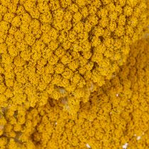 gjenstander Achillea Natur Gelb Ryllik Tørkede Blomster Gule 1kg
