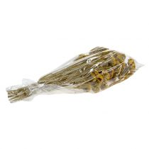 gjenstander Achillea 500g naturlig