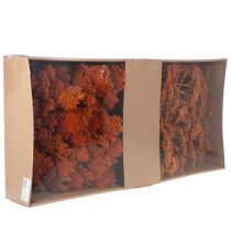gjenstander Tørkede ryllikblomster fra Achillea Orange, 45–60 cm, 1 kg