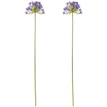 gjenstander Agapanthus afrikansk lilje kunstige blomster Lilla L75cm 2stk