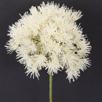 gjenstander Kunstig blomst Allium, delikat design for innendørs bruk, 68 cm