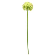 gjenstander Allium grønn blomst kunstig prydløk Ø18cm 90cm