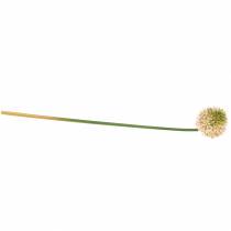 gjenstander Prydløk Allium kunstig rosa / grønn Ø8cm 58cm