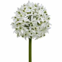 Dekorativ blomst Allium, kunstig kule purre, prydløk hvit Ø20cm L72cm