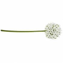 gjenstander Dekorativ blomst Allium, kunstig kule purre, prydløk hvit Ø20cm L72cm