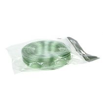 gjenstander Aluminiumstråd 2mm 500g, 60m mintgrønn - hobbytråd for dekorasjon, blomsterdekorasjon og modellbygging