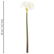 gjenstander Kunstig amaryllisblomst, hvit, med stilk, advent og jul, 50 cm