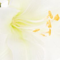 gjenstander Kunstig amaryllisblomst, hvit, med stilk, advent og jul, 50 cm