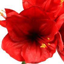 gjenstander Amaryllis rød 75 cm