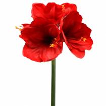 Amaryllis rød 75 cm