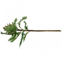gjenstander Artisjokk Artisjokk Grønn Deco Høst Ø7,5cm H43cm