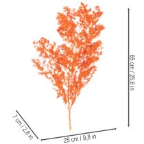 gjenstander Tørkede aspargesblomster gren dekorativ asparges farget 65 cm 80 g