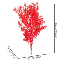 gjenstander Tørket aspargesbunke til blomsteroppsatser 65 cm 80 g