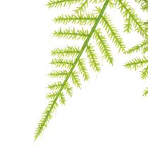 gjenstander Kunstig asparges som hengeplante for vedlikeholdsfri hjemmedekorasjon, 75 cm