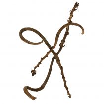 gjenstander Bananpinne Natur stor 10 stk