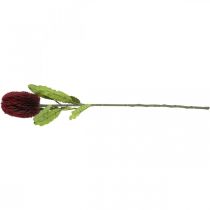 gjenstander Kunstig blomst Banksia Red Burgundy Artificial Exotics 64cm