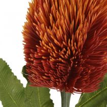 Kunstig blomst Banksia Orange Høstdekorasjon Begravelsesblomster 64cm