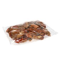 gjenstander Tresvamp oransje 1 kg