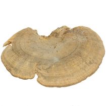 gjenstander Tresvamp naturlig dekorativ sopp tørket 6cm 1kg